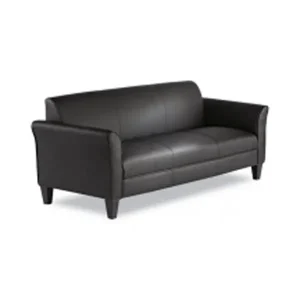 Alera Black Leather & Wood Sofa Orange County